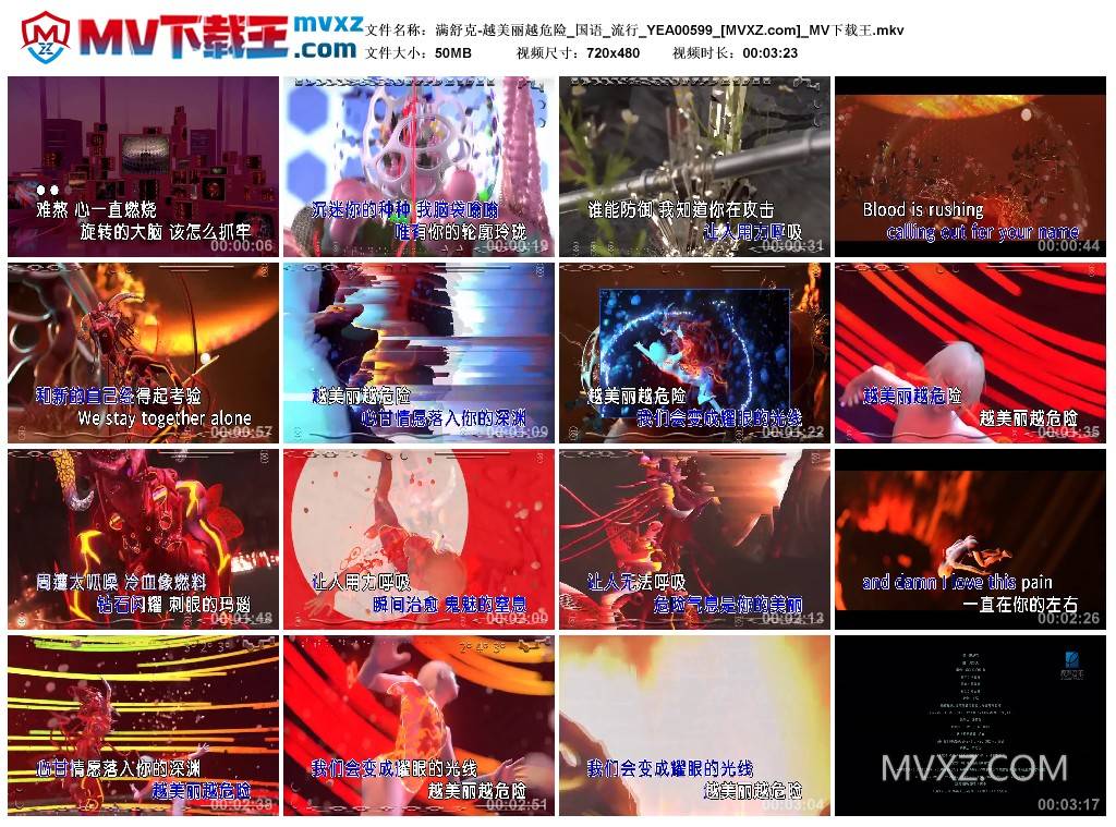 满舒克-越美丽越危险_国语_流行_YEA00599